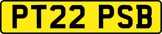 PT22PSB