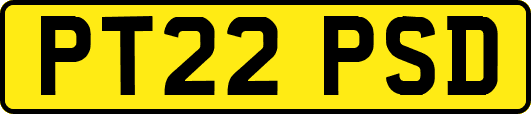 PT22PSD
