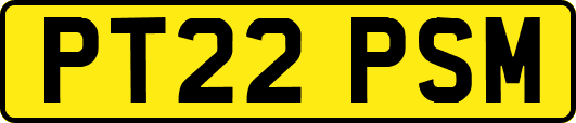 PT22PSM