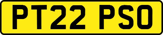 PT22PSO