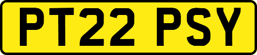 PT22PSY