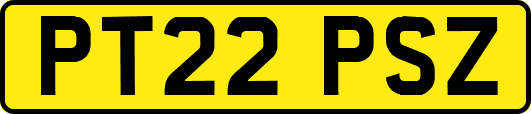 PT22PSZ