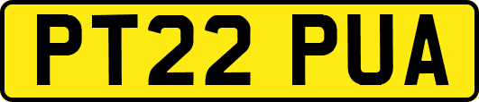 PT22PUA