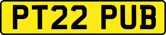 PT22PUB