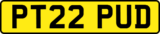 PT22PUD