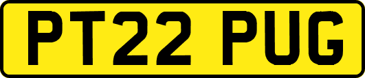PT22PUG