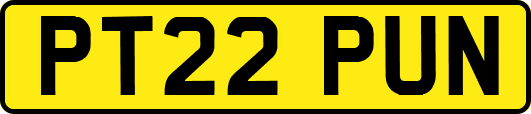 PT22PUN