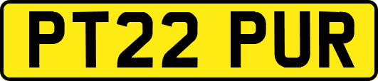 PT22PUR
