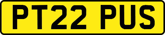 PT22PUS