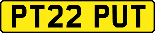 PT22PUT