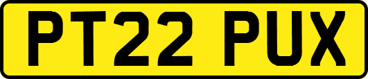 PT22PUX