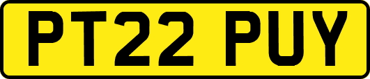 PT22PUY