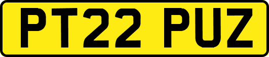 PT22PUZ