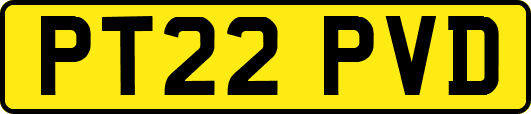 PT22PVD