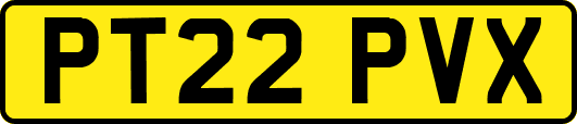 PT22PVX