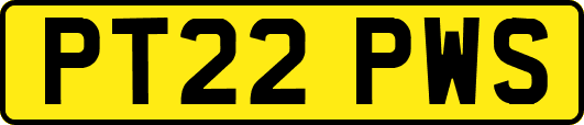 PT22PWS