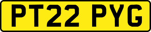 PT22PYG