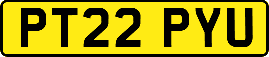 PT22PYU