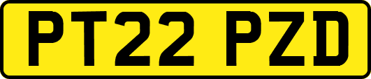 PT22PZD