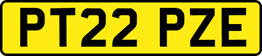 PT22PZE
