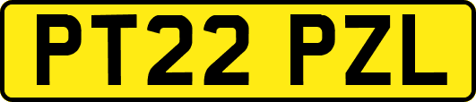 PT22PZL