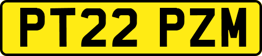 PT22PZM