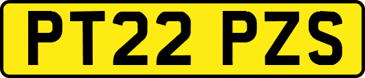 PT22PZS