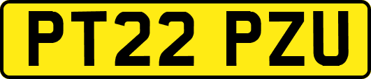 PT22PZU