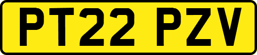 PT22PZV