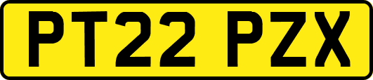 PT22PZX