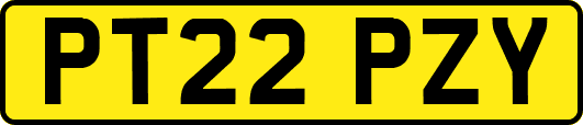 PT22PZY