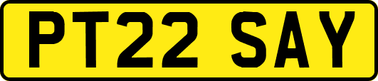 PT22SAY