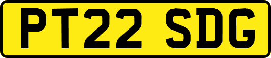 PT22SDG