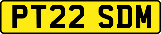PT22SDM
