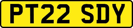PT22SDY