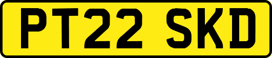 PT22SKD