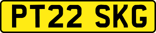 PT22SKG