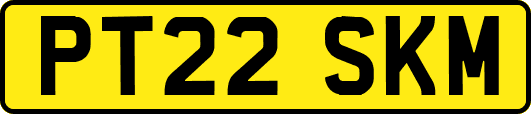 PT22SKM
