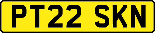 PT22SKN