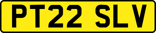 PT22SLV