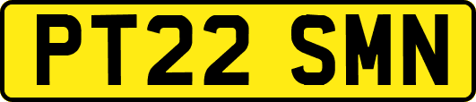 PT22SMN