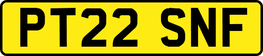 PT22SNF