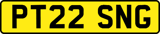 PT22SNG