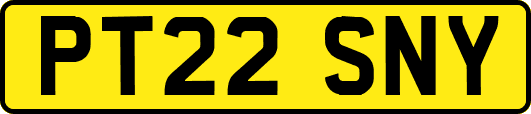 PT22SNY