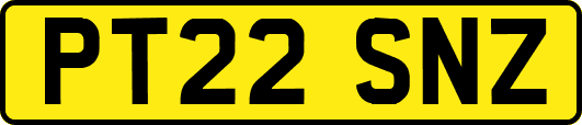 PT22SNZ