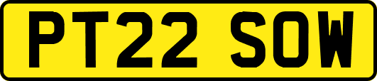 PT22SOW