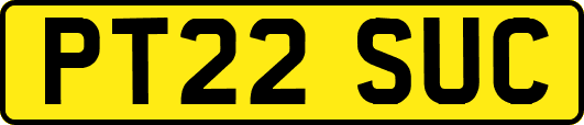 PT22SUC