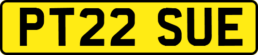 PT22SUE