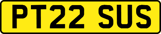 PT22SUS