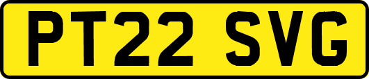 PT22SVG